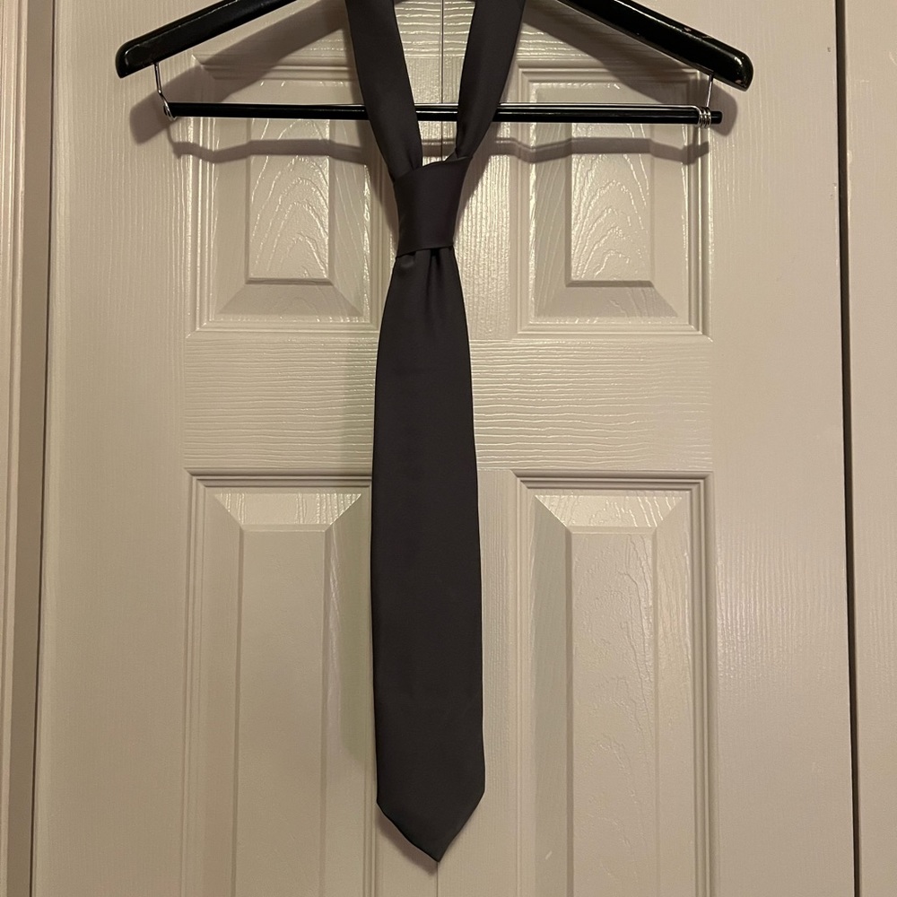 Beautiful archive Lanvin silver gray padded tie.
